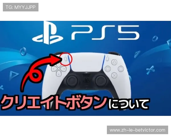 《全面解析哔哩哔哩PC模拟游戏手柄的使用技巧与优势》 《全面解析哔哩哔哩PC模拟游戏手柄的使用技巧与优势》